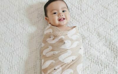 9 Best Organic Muslin Swaddle Blankets: You Must Need to Know