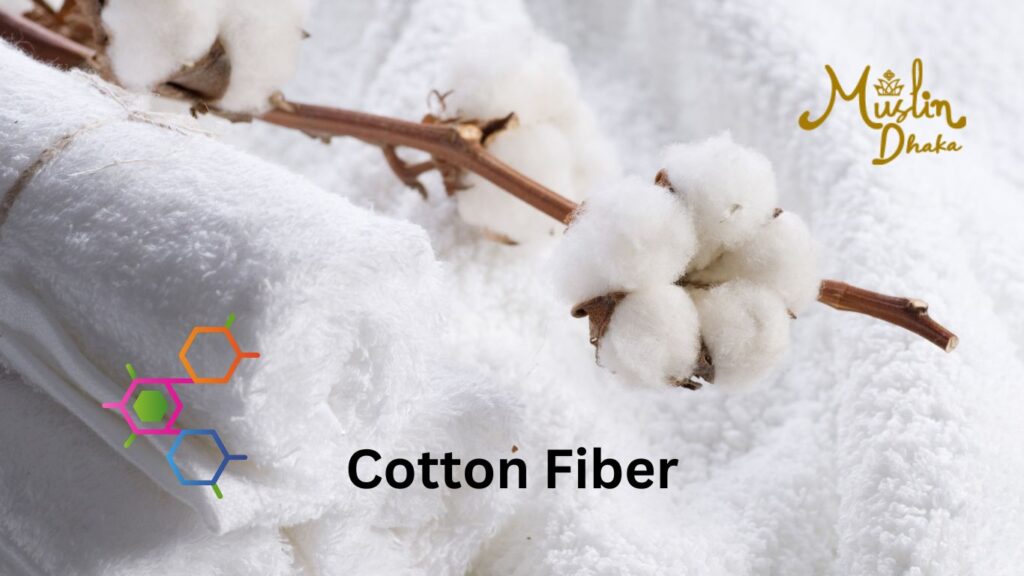 Cotton Fiber