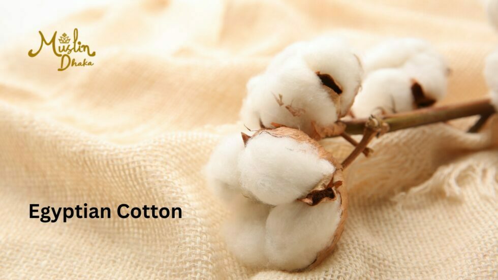 Famous Egyptian Cotton Everything you need to know 2023