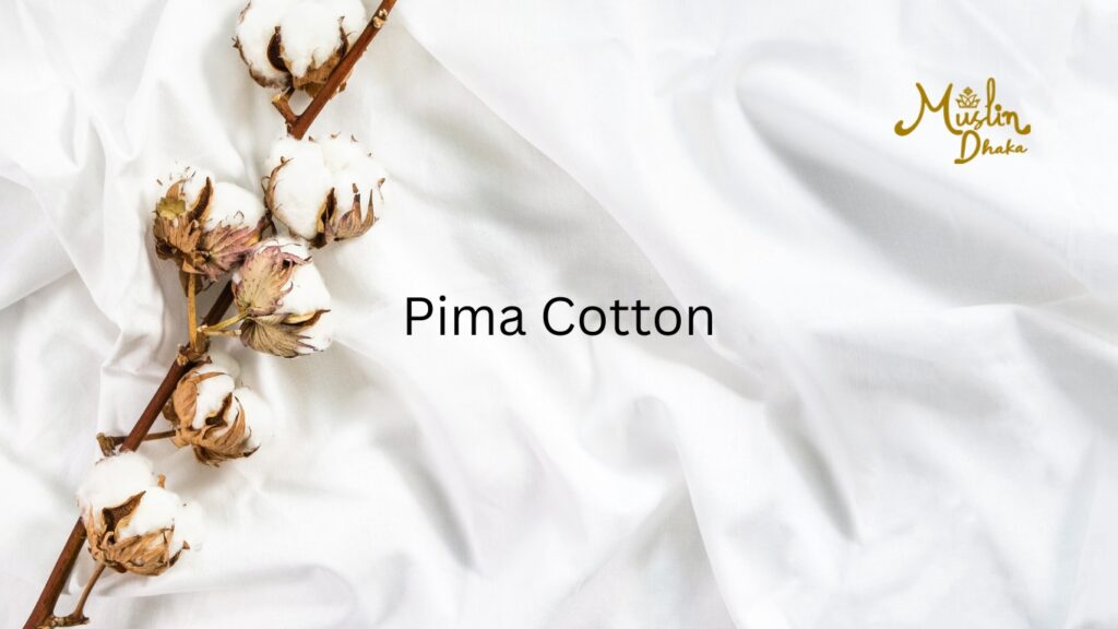 Pima Cotton