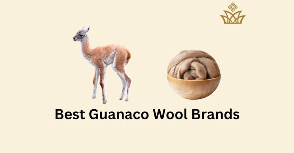 Best Guanaco Wool Brands