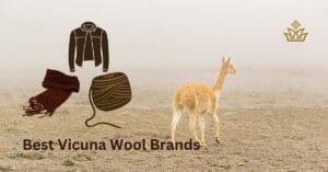 Best Vicuna Wool Brands 1