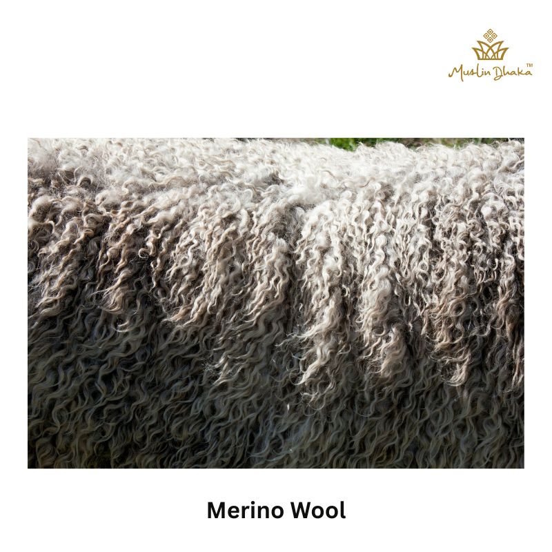 merino wool