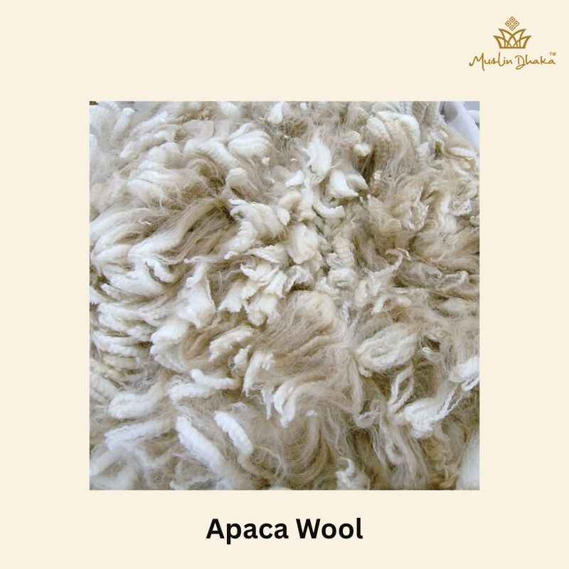 Alpaca Wool