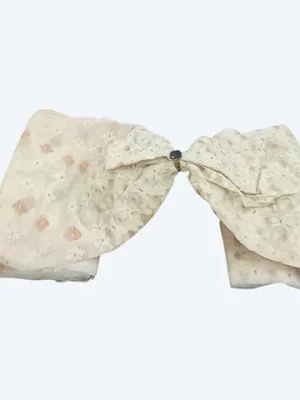 Minimalist Dhaka Muslin saree