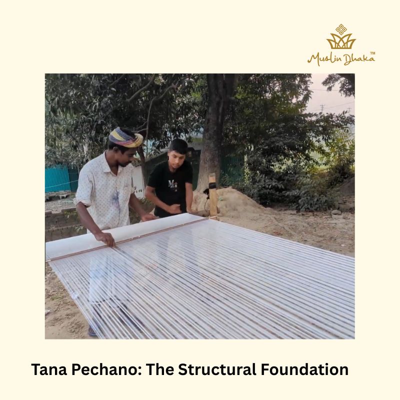 Tana Pechano step 11