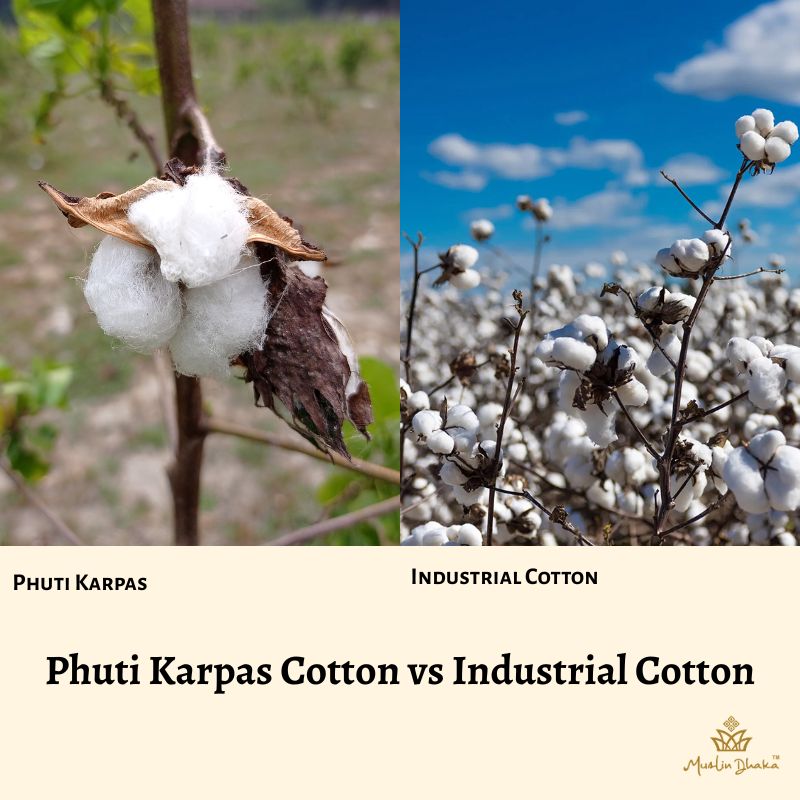 Phuti karpas vs Industrial cotton