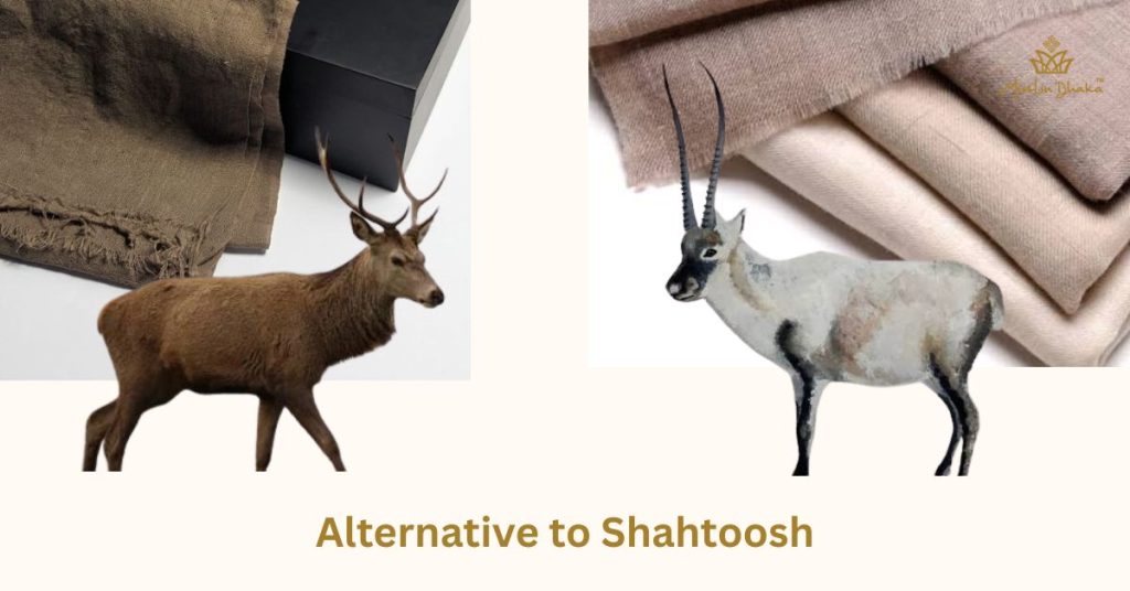 Shahtoosh Alternatives