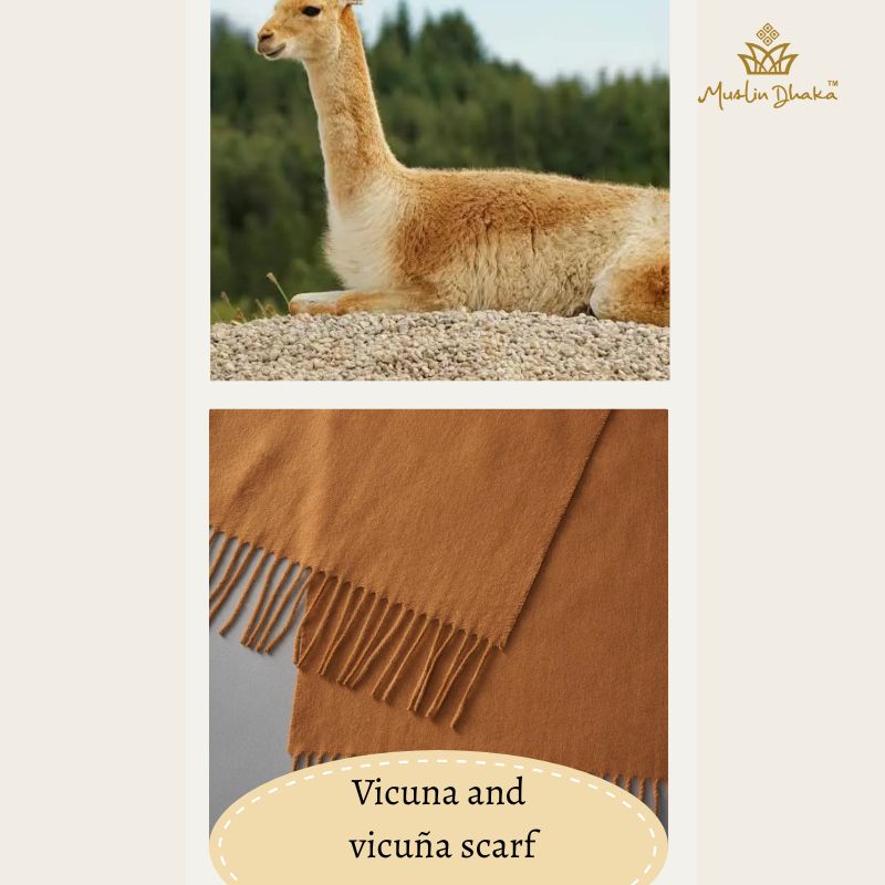 vivuna & vicuna scarf